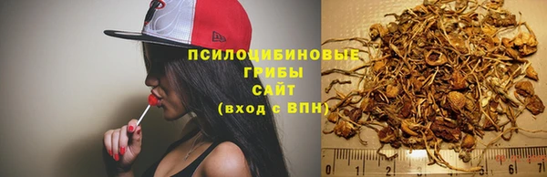 прущий лед Абаза