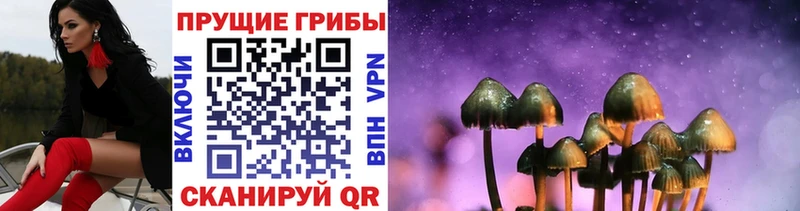 Галлюциногенные грибы Cubensis Владикавказ
