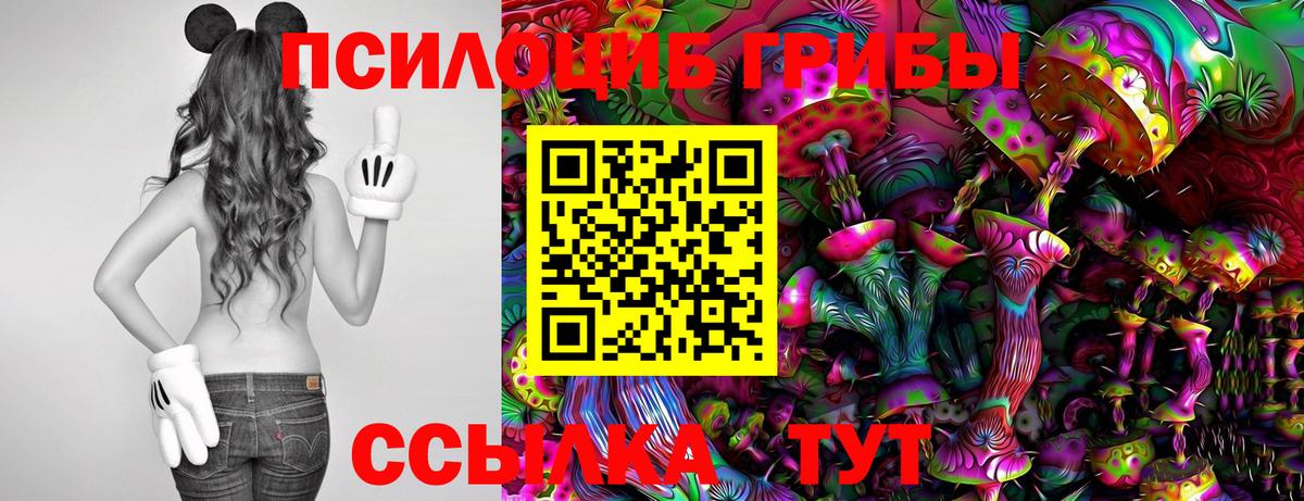 Галлюциногенные грибы мицелий  Вход с VPN  Владикавказ 